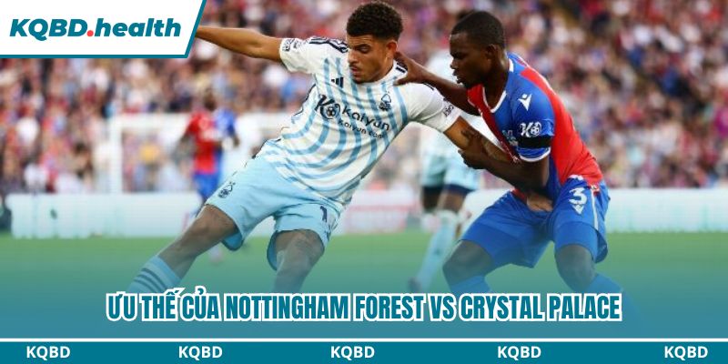 Lịch sử đối đầu phản ánh sự cân bằng giữa hai đội