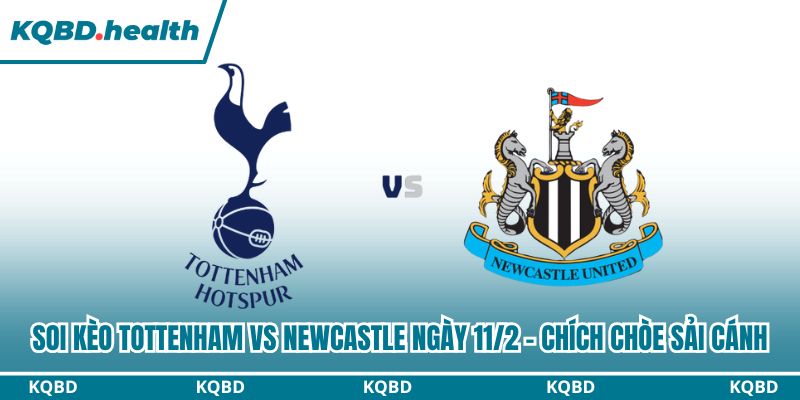 Soi kèo Tottenham vs Newcastle